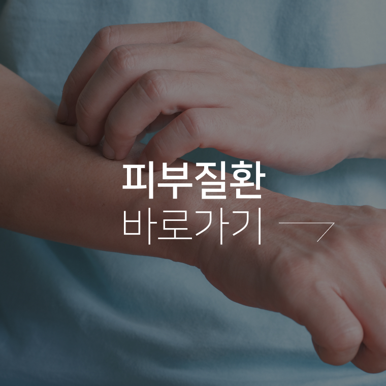피부질환 바로가기