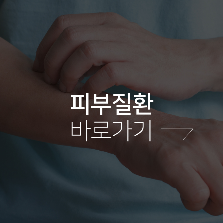 피부질환 바로가기