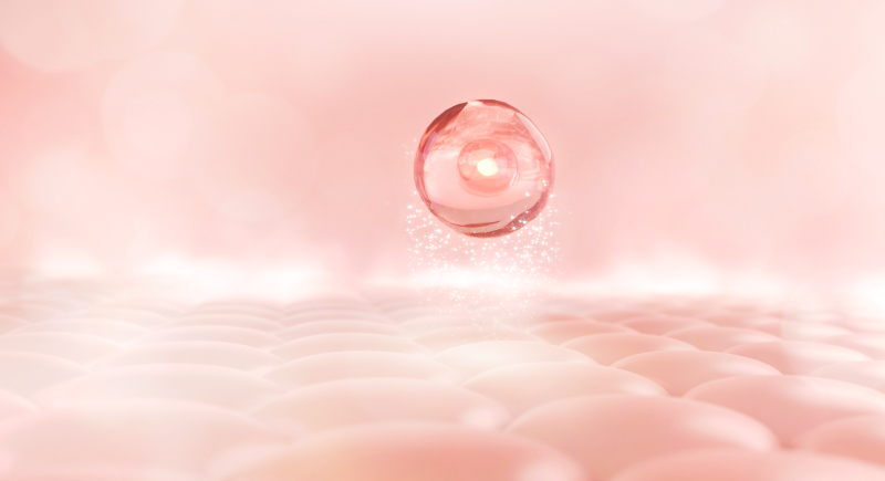 정품, 정량, 정성 3대 원칙